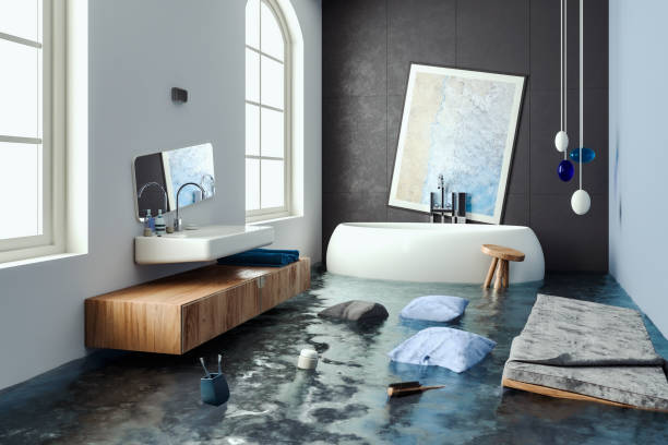 Best Local water damage restoration  in Shinnston, WV