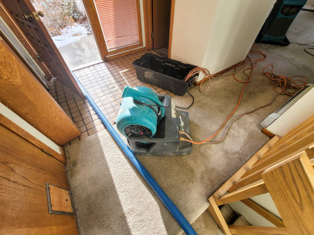Best Professional water damage repair  in Shinnston, WV