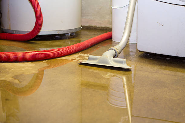 Best Water damage cleanup near me  in Shinnston, WV